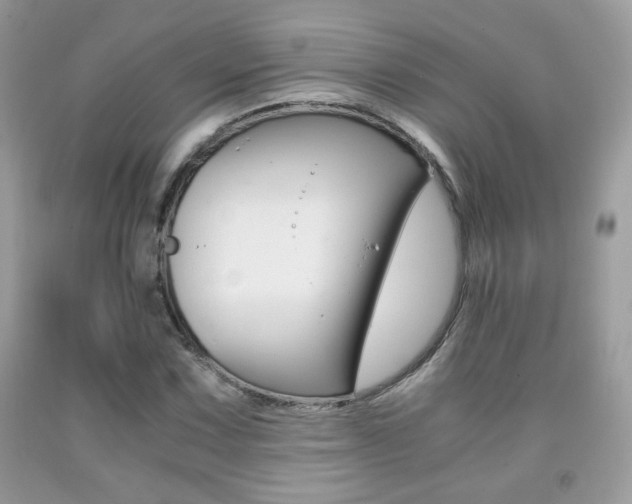 X0000091941067200709051257