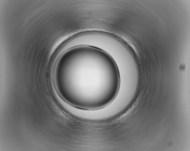 X0000091941069200709051257