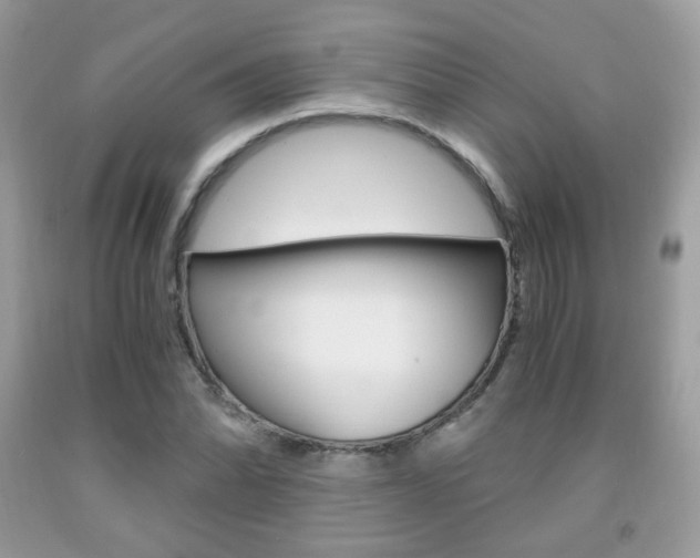 X0000091941070200709051257