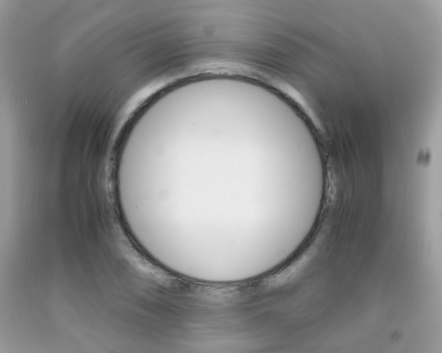 X0000091941074200709051257