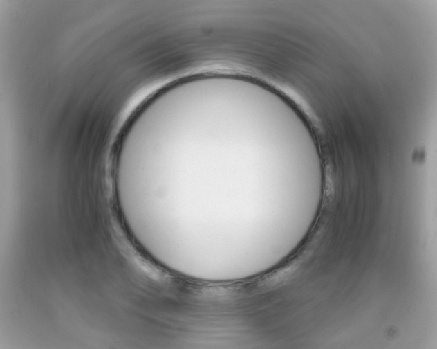 X0000091941078200709051257