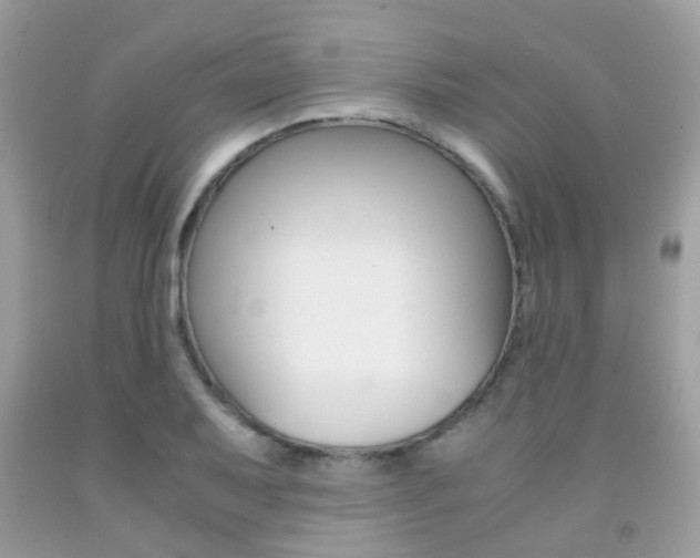 X0000091941079200709051257