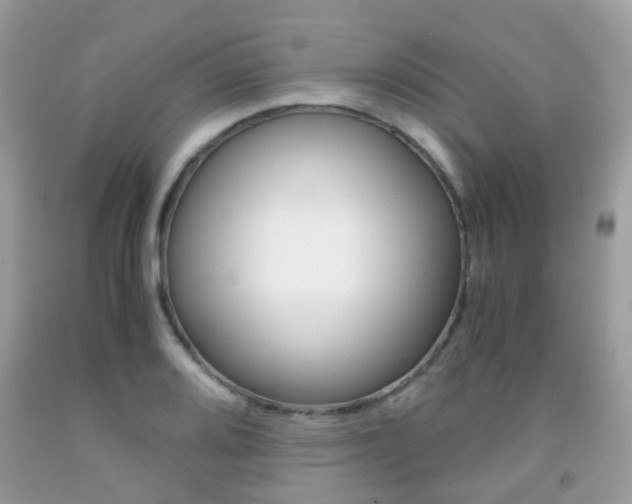 X0000091941080200709051257
