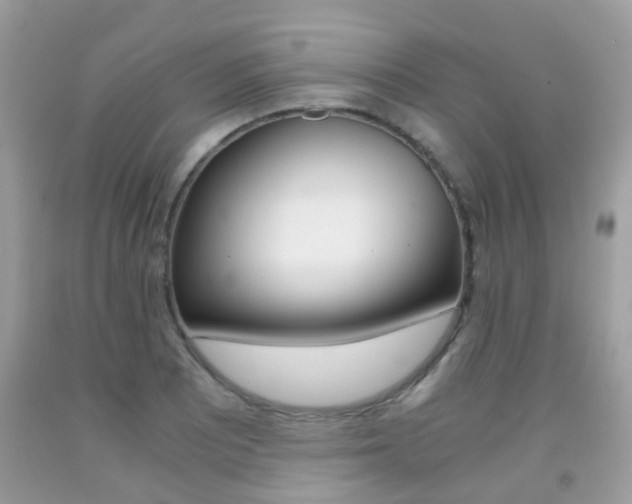 X0000091941081200709051257