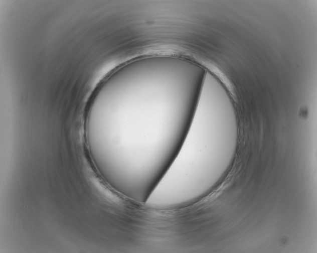 X0000091941083200709051257