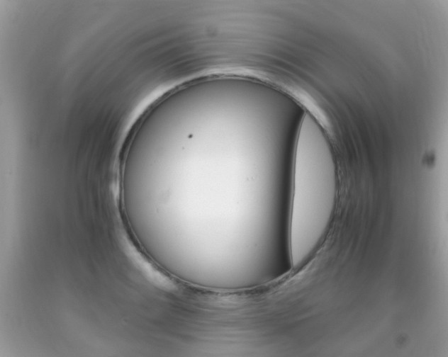 X0000091941084200709051257