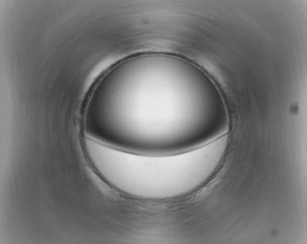 X0000091941085200709051257