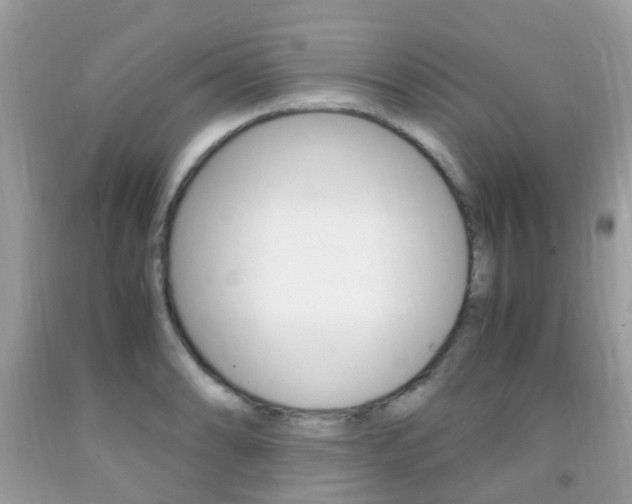 X0000091941086200709051257