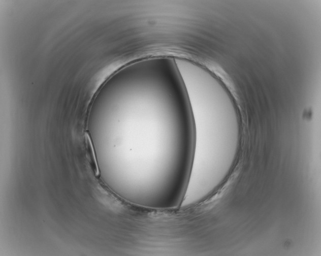 X0000091941089200709051257
