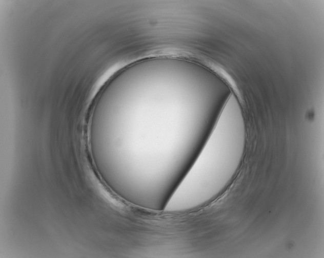 X0000091941091200709051257