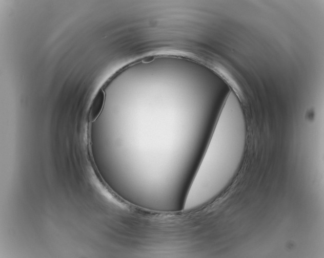 X0000091941092200709051257