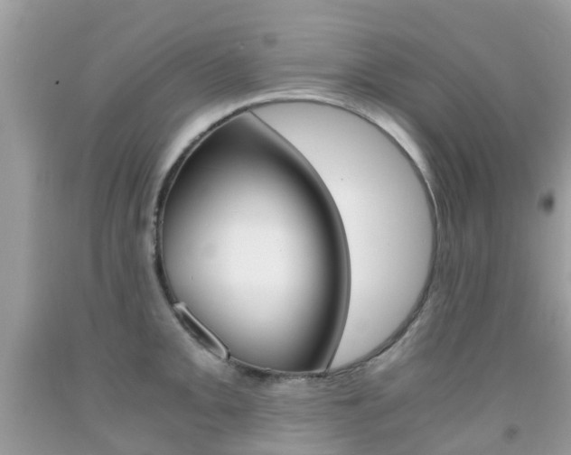 X0000091941093200709051257