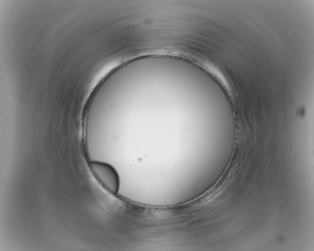 X0000091941095200709051257