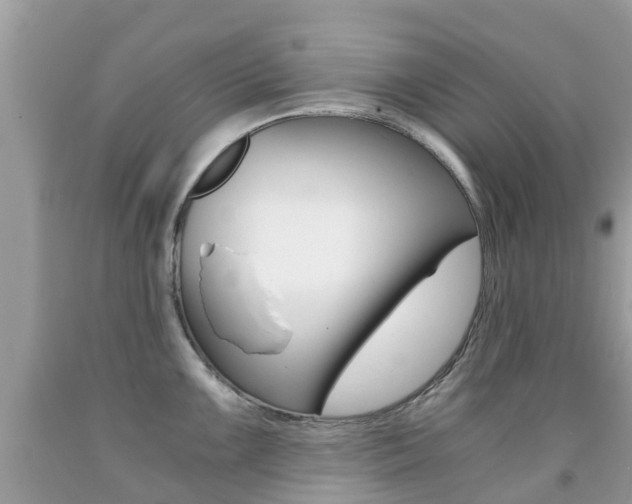 X0000091941099200709051257