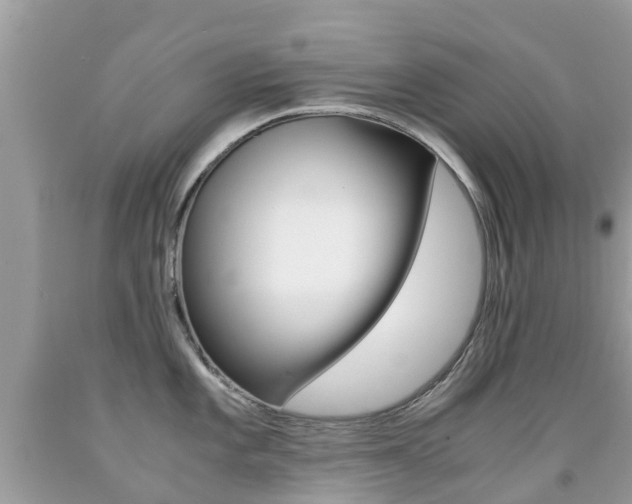 X0000091941101200709051257