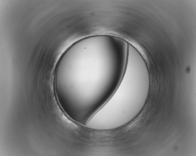 X0000091941102200709051257