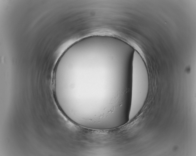 X0000091941103200709051257