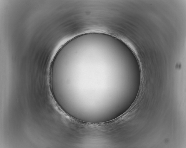 X0000091941104200709051257