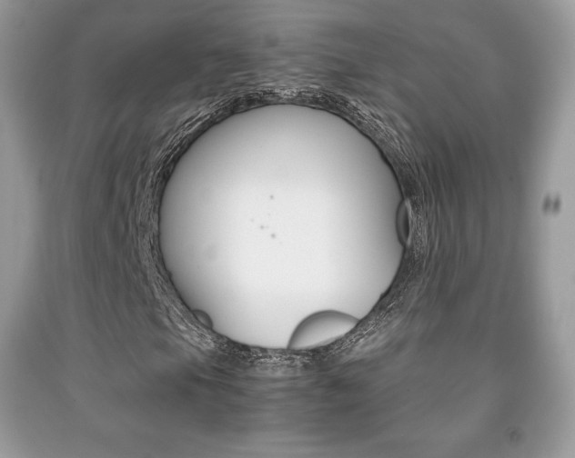 X0000091941105200709051256