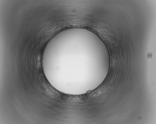 X0000091941106200709051256
