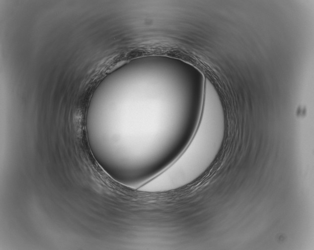 X0000091941108200709051256