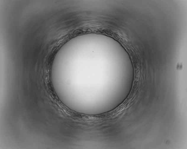 X0000091941109200709051256