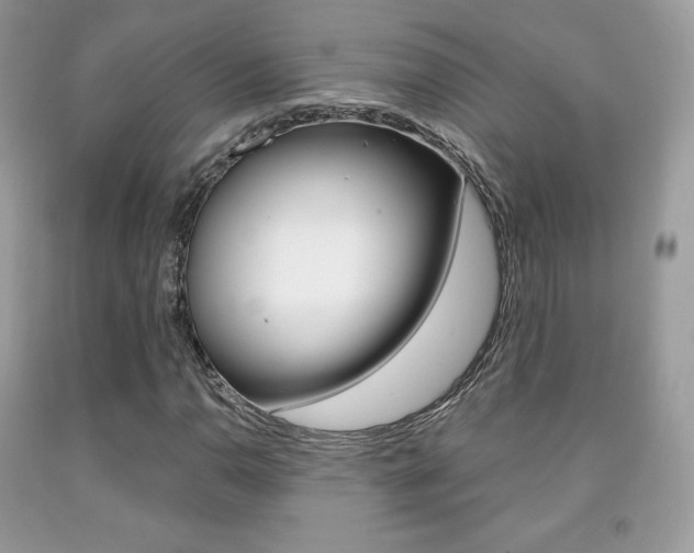 X0000091941110200709051256