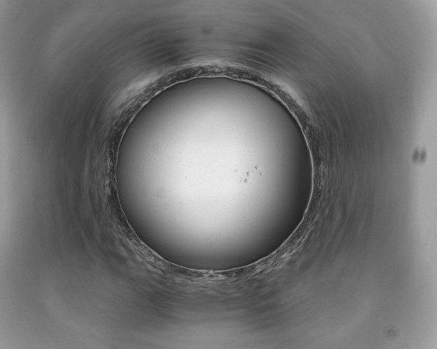 X0000091941111200709051256