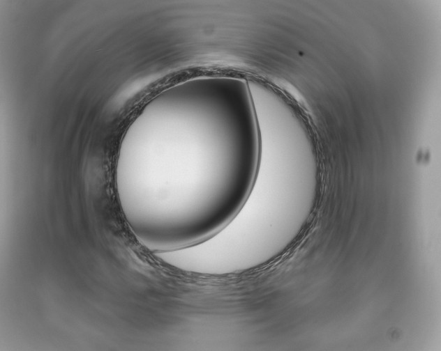 X0000091941112200709051256