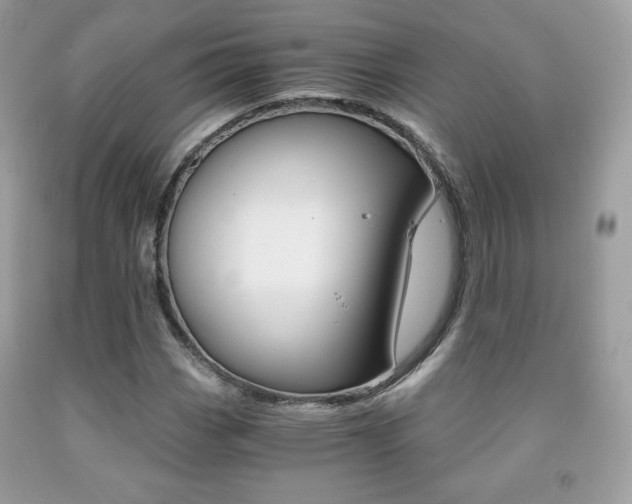 X0000091941113200709051256