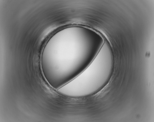 X0000091941115200709051256