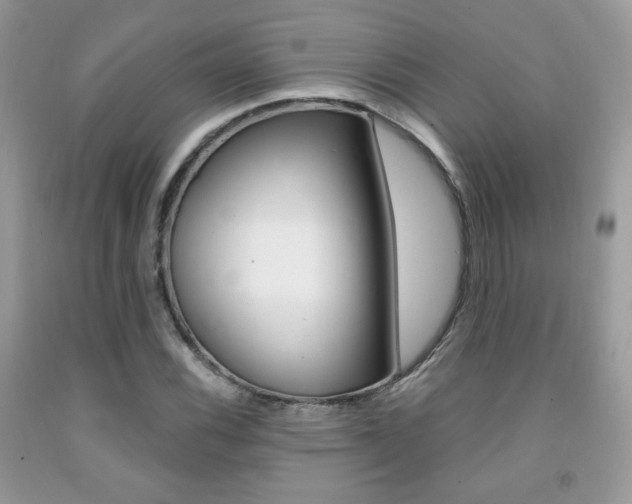 X0000091941116200709051256