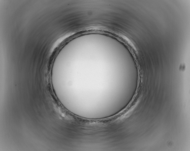 X0000091941117200709051256