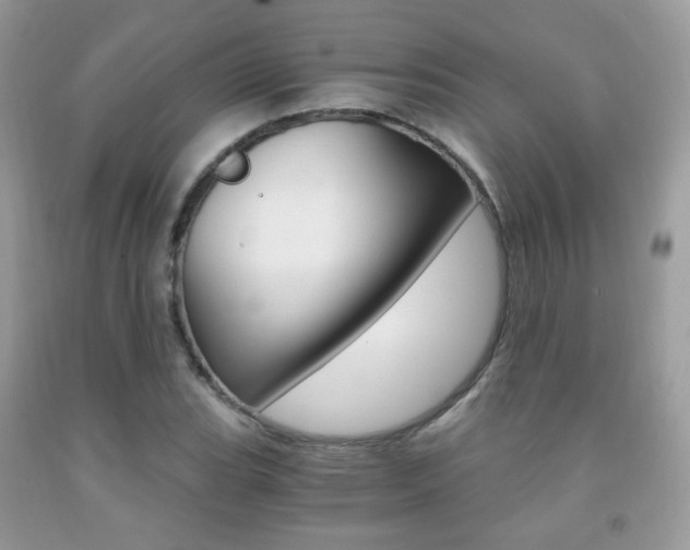 X0000091941119200709051256