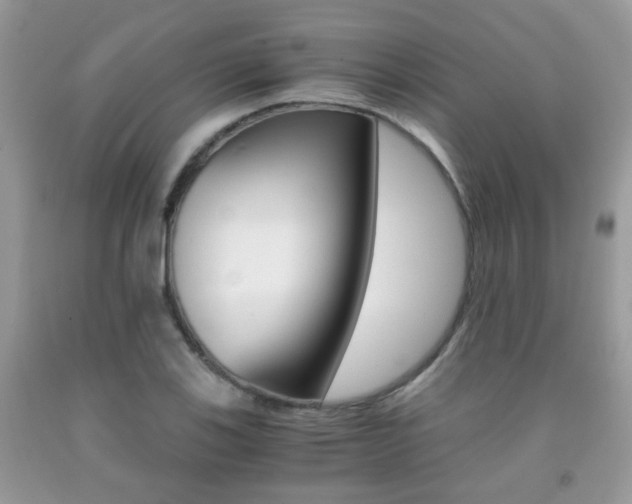 X0000091941123200709051256