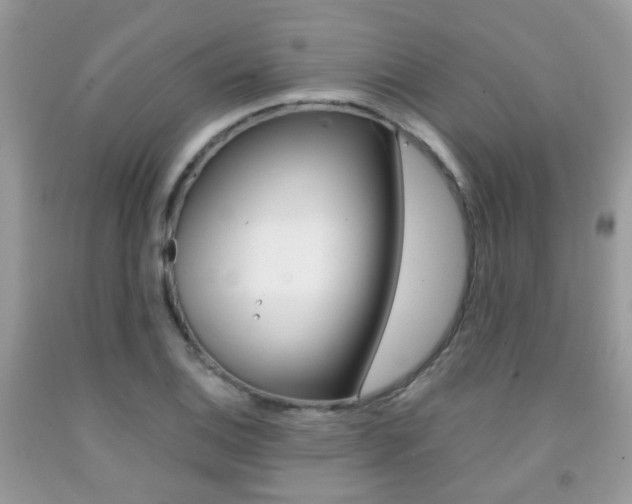 X0000091941124200709051256