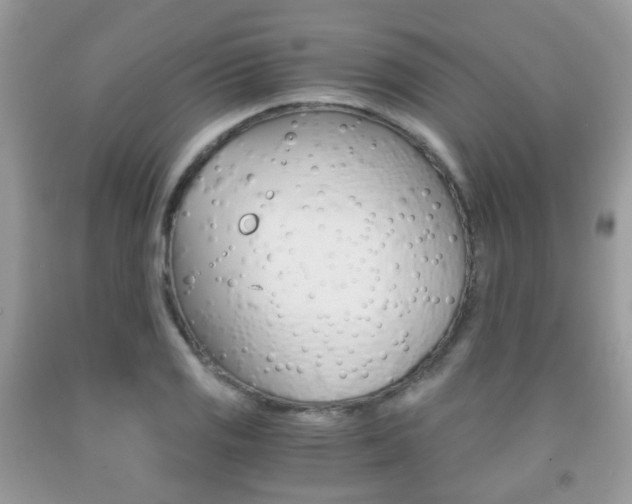 X0000091941125200709051256