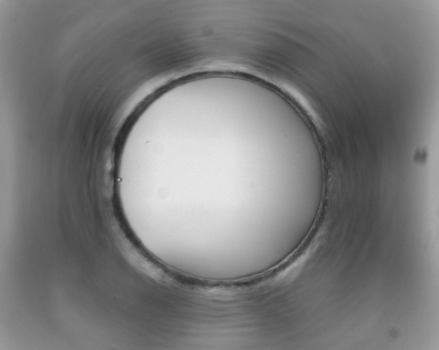 X0000091941126200709051257