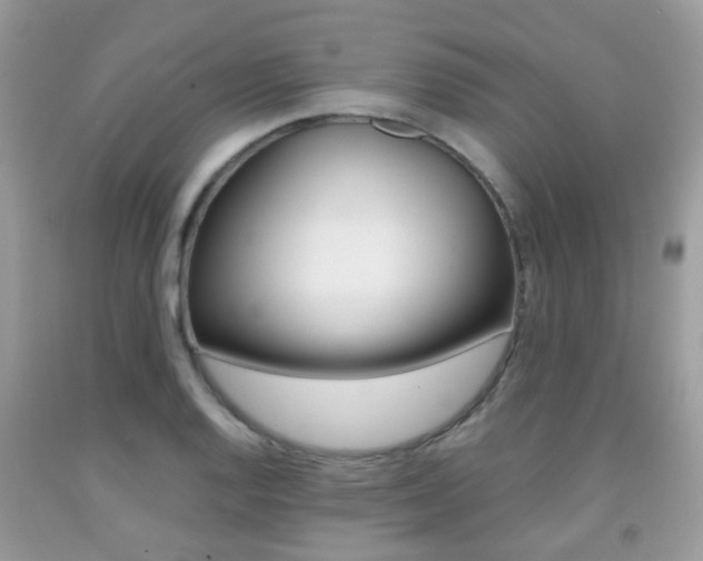 X0000091941128200709051257