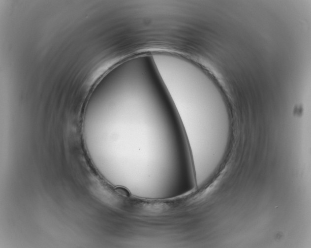 X0000091941129200709051257