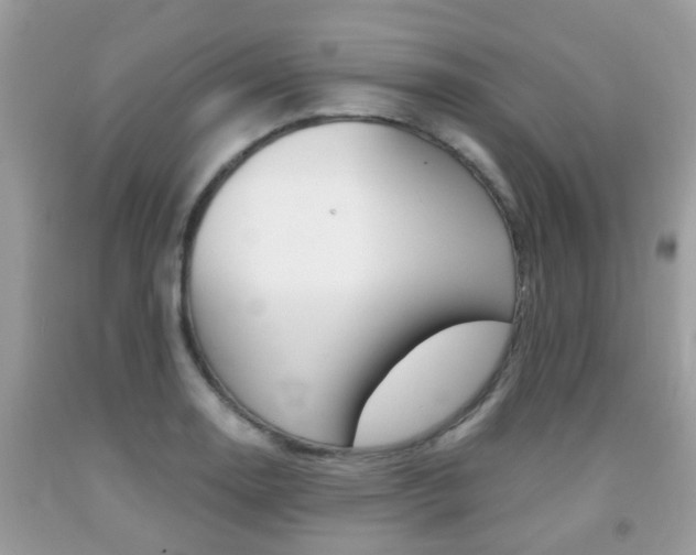 X0000091941130200709051257