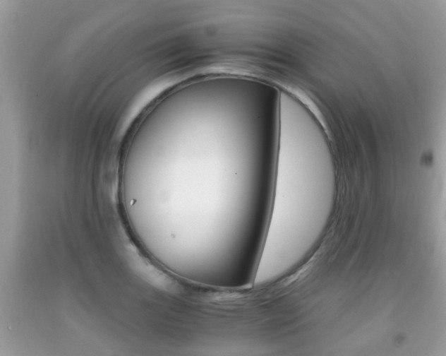 X0000091941131200709051257