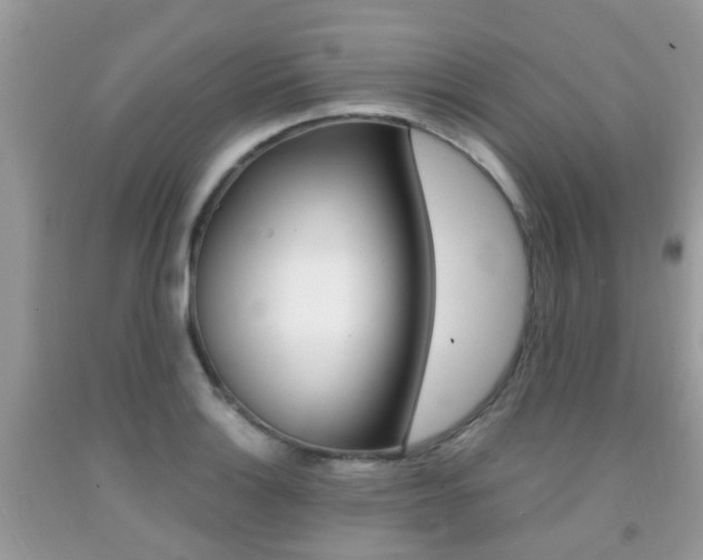 X0000091941132200709051257