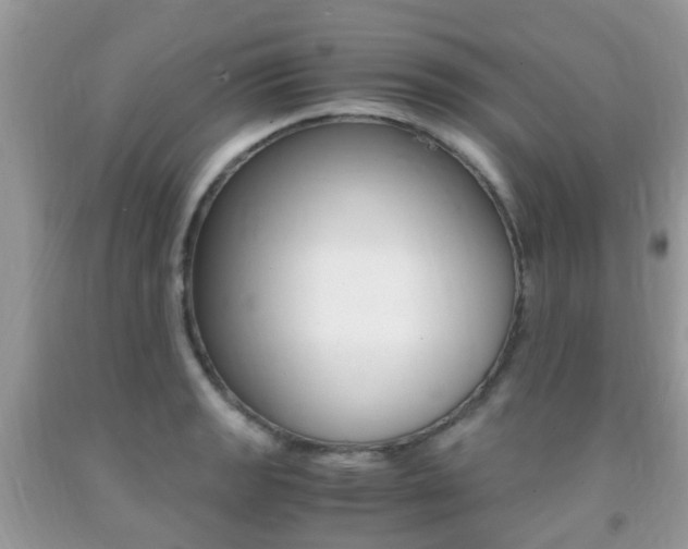 X0000091941133200709051257