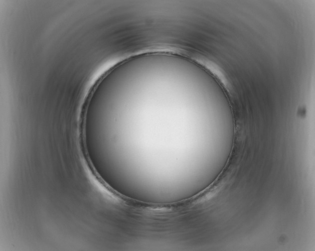 X0000091941135200709051257