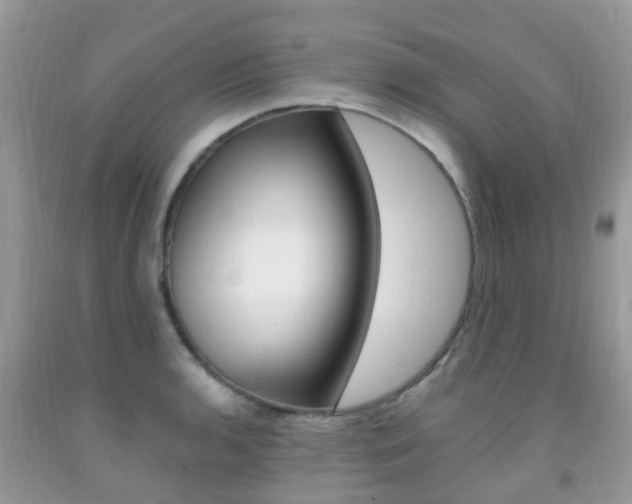 X0000091941136200709051257