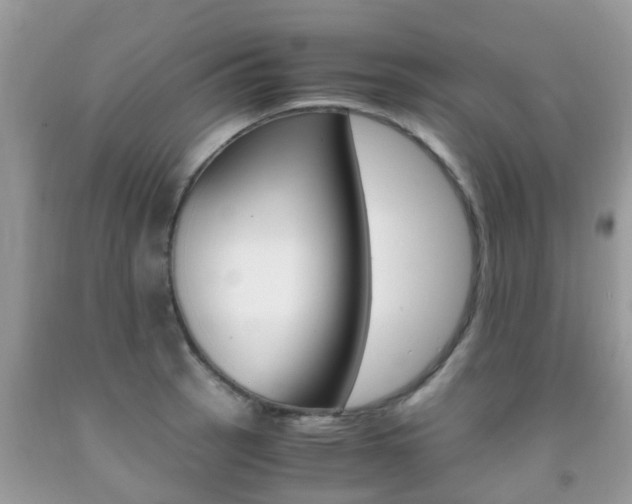 X0000091941137200709051257