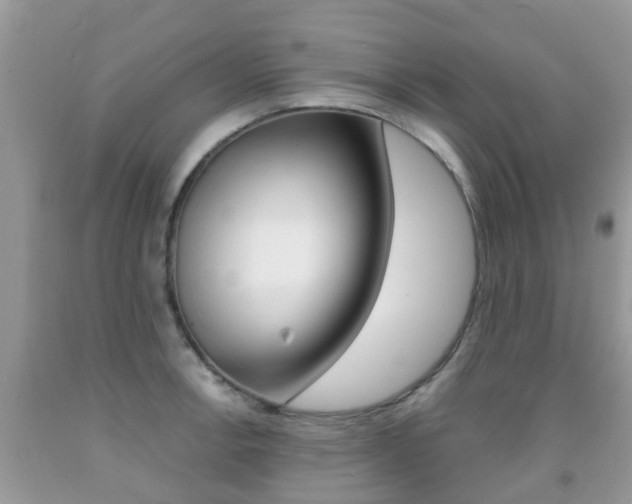 X0000091941138200709051257