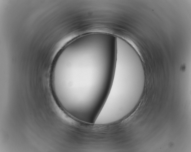 X0000091941139200709051257
