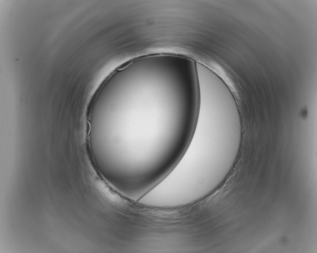 X0000091941140200709051257